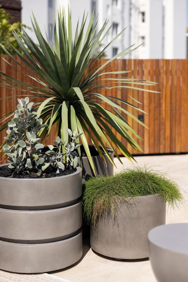 Aparthotel Regents Court Sydney Esterno foto